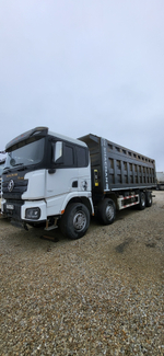 Shacman (Shaanxi) SX* 8x4 Самосвал SX33186V366 (Дизельный, 11,6 л, 440 л.с., МТ)