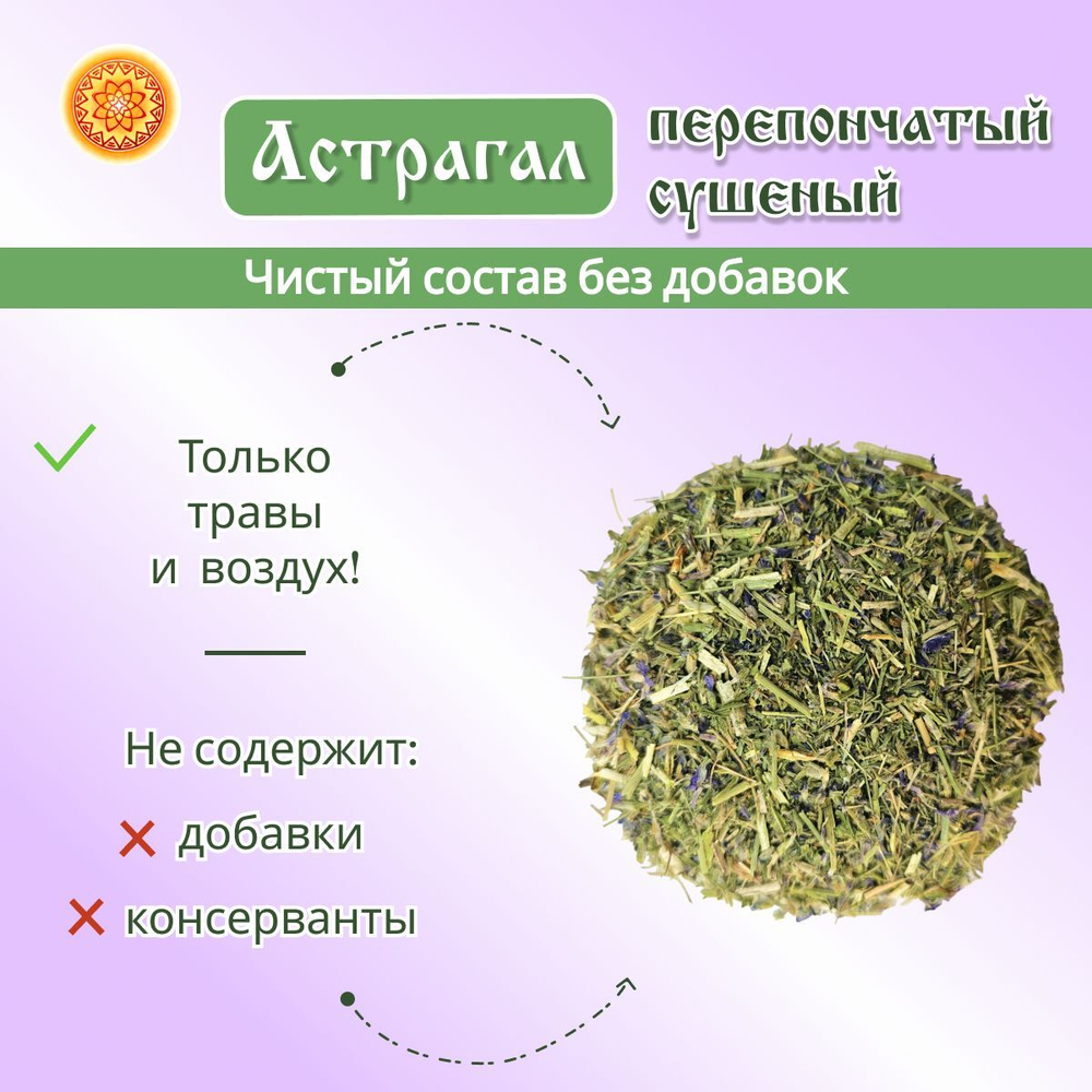 Астрагал перепончатый.