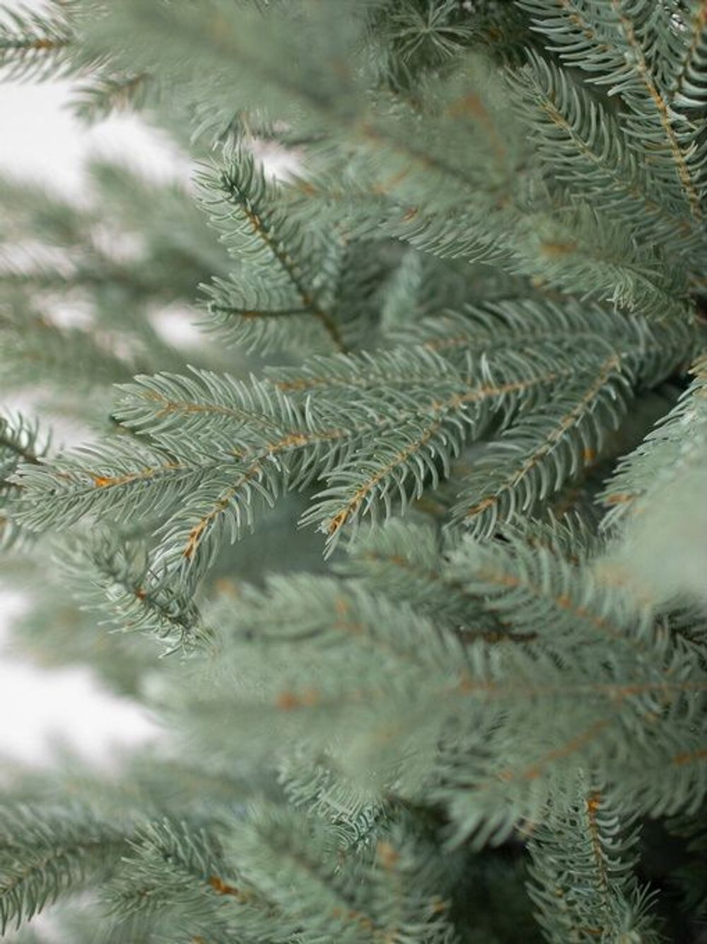 Ель искусственная голубая «Марселло» (Литая хвоя) 210 см / 2.1 м