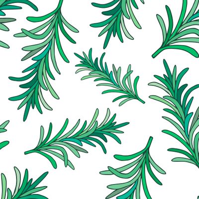 Rosemary sprigs seamless pattern.