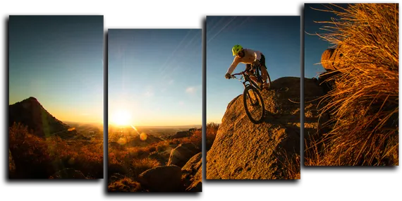 Модульная картина "Горный байк"