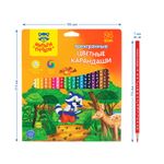 Карандаши цветные Мульти-Пульти "Енот-следопыт", 24цв., трехгр.,рисунок на корпусе, заточен., картон