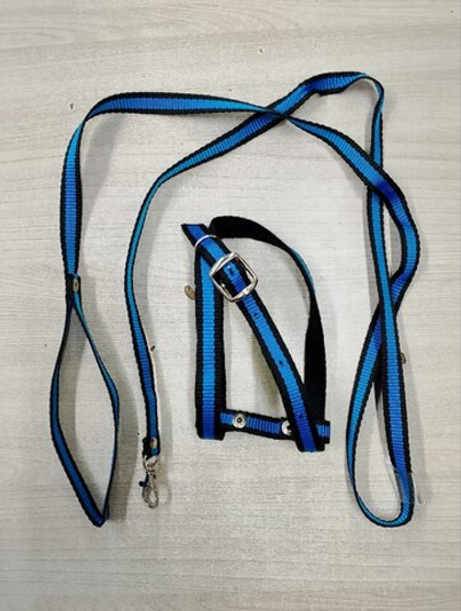 GAMMA Шлейка + поводок для кошек капрон, 14 мм