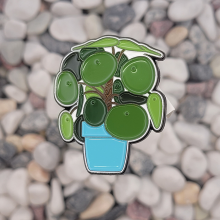 Значок Пилея пеперомиевидная