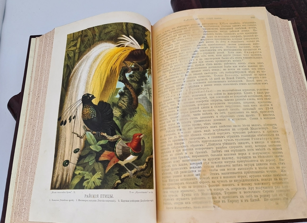 "Жизнь животных". А.Э.Брэм. 1904 г. - антикварная книга