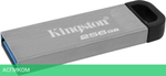 USB Flash-накопитель Kingston DataTraveler Kyson 256GB металл серебристый (DTKN/256GB)