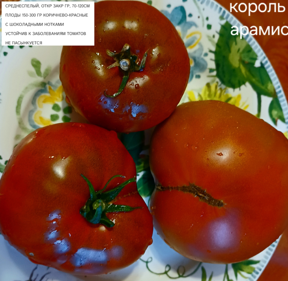 РАССАДА ТОМАТОВ ГНОМОВ КОРОЛЬ АРАМИС