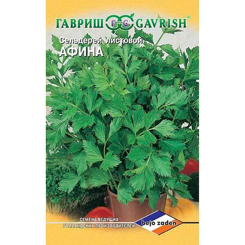 Сельдерей листовой Афина Гавриш Ц