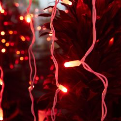 ULD-C2030-240-TWK RED IP67 Занавес светодиодный с эффектом мерцания. 3х2м. Соединяемый. 240 светодиодов. Красный свет. Провод белый. TM Uniel.