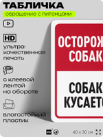 Табличка "Осторожно собака, собака кусается" на дверь и забор, для двора, дома, подъезда, 40х30 см, Silver Plane x Айдентика Технолоджи