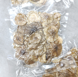 Мухомор пантерный шляпки дисконт