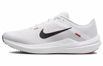 Кроссовки Nike Air Winflo 10