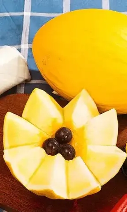 Дыня Ранняя сладкая 10шт УрДачник