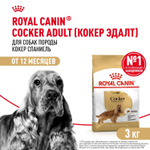 Royal Canin Golden Retriever Корм сухой для взрослых собак породы Голден Ретривер 3 кг