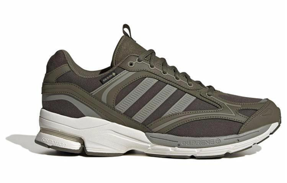 Кроссовки Adidas Spiritain 2000 Gtx