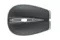 Bowers & Wilkins 804 D4 Satin Rosenut