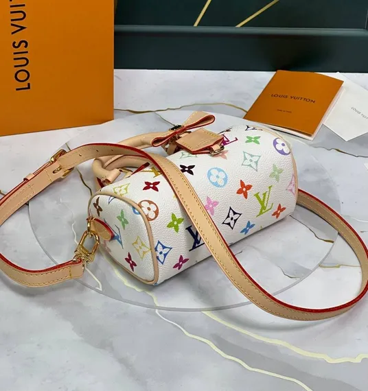 Сумка LOUIS VUITTON х TM Speedy 25