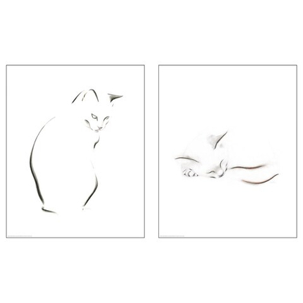 IKEA BILD  (ИКЕА БИЛД)  -  Плакат, эскиз кошки, 40x50 см