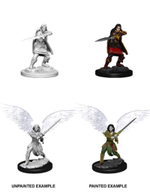 Female Aasimar Fighter / Аазимарские воительницы