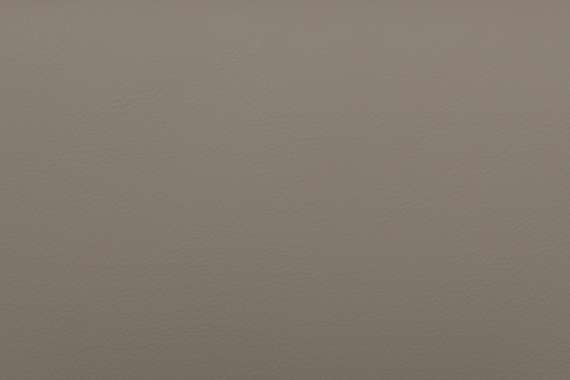 Кресло Dante A2561-12 Светло-серый