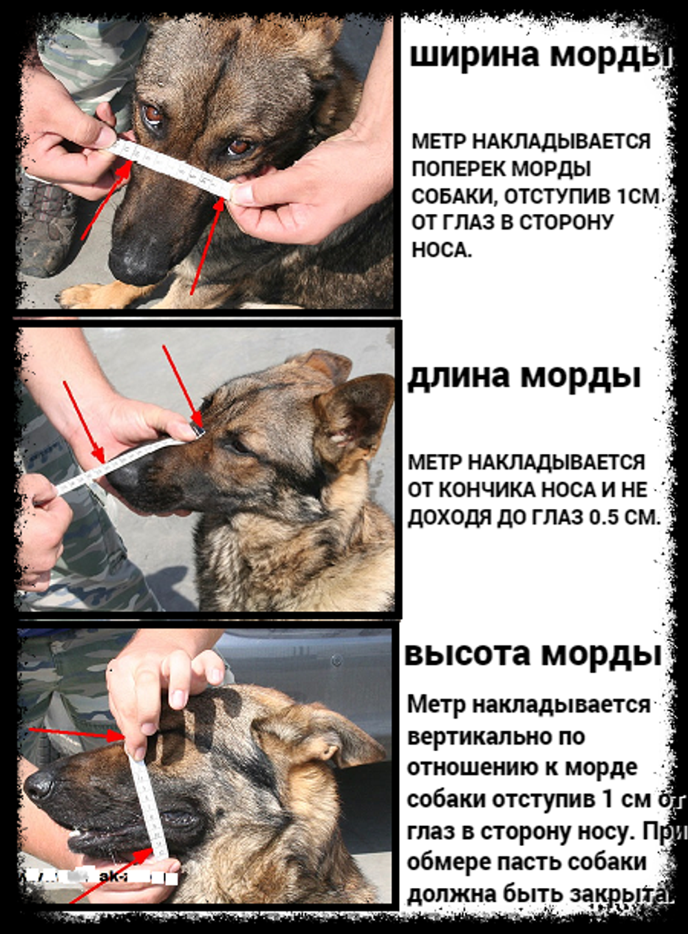 НАМОРДНИК МЕТАЛЛИЧЕСКИЙ "КОМФОРТ"  от ForDogTrainers (М9)