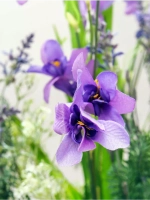 Искусственные цветы для декора в кашпо