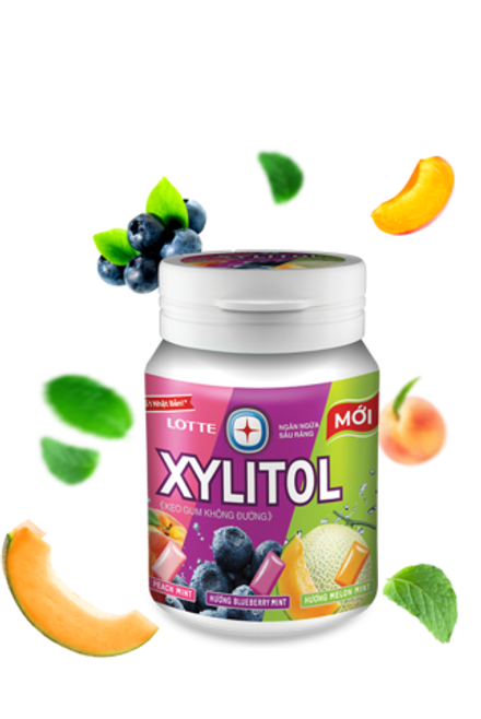 LOTTE Xylitol Фруктовое ассорти(персик/дыня/черника/мята) 55,1 гр