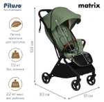 Коляска прогулочная Pituso Matrix PU Emerald mood
