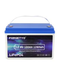 Аккумулятор 12.8v 100Ah LiFePO4 1280Wh