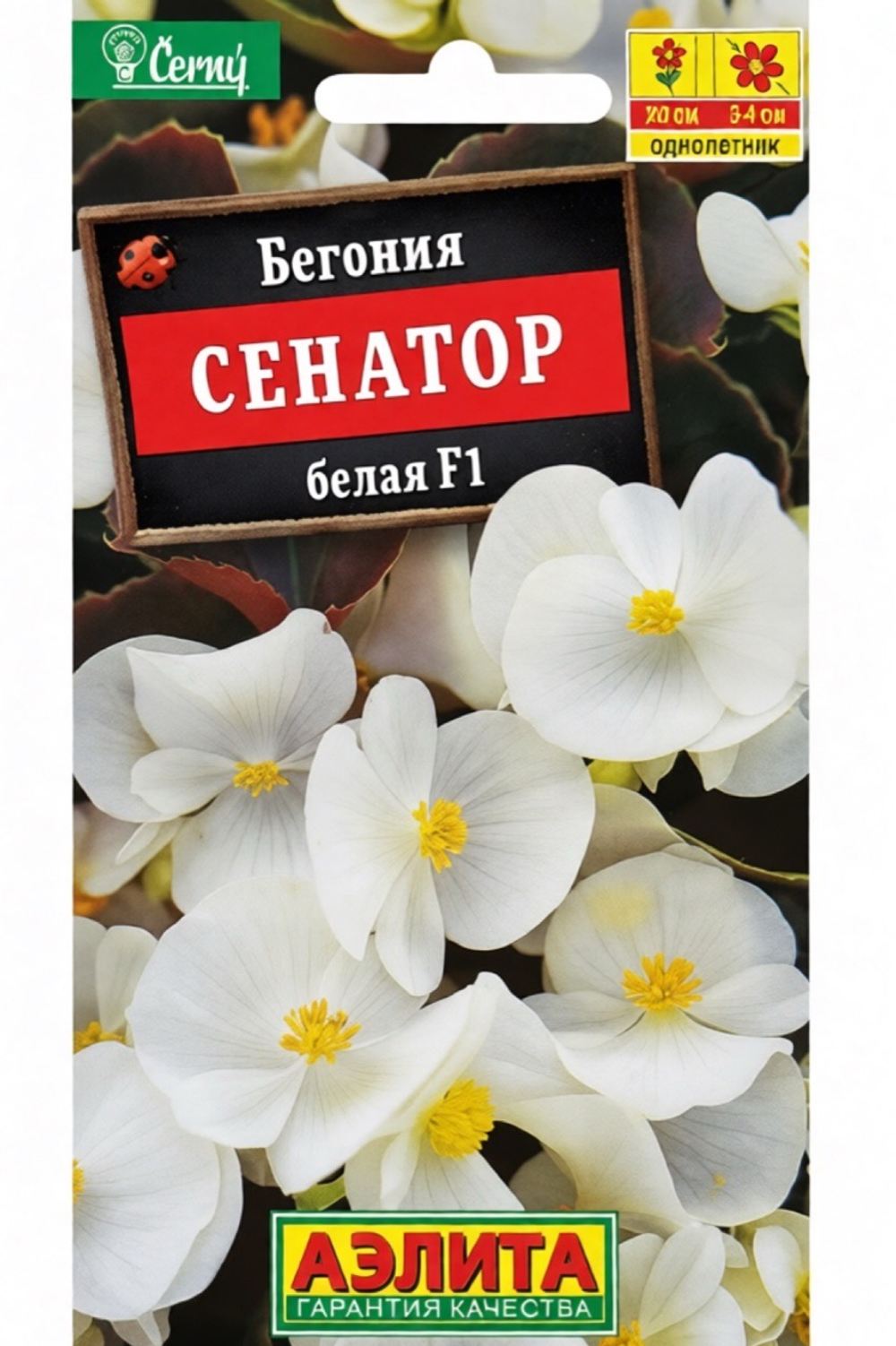 Бегония Вечноцв. Сенатор Белая F1 10 шт СМЦ-771