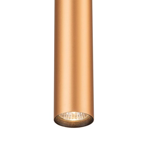 Трековый светильник Escada 20001TRP/01 BR