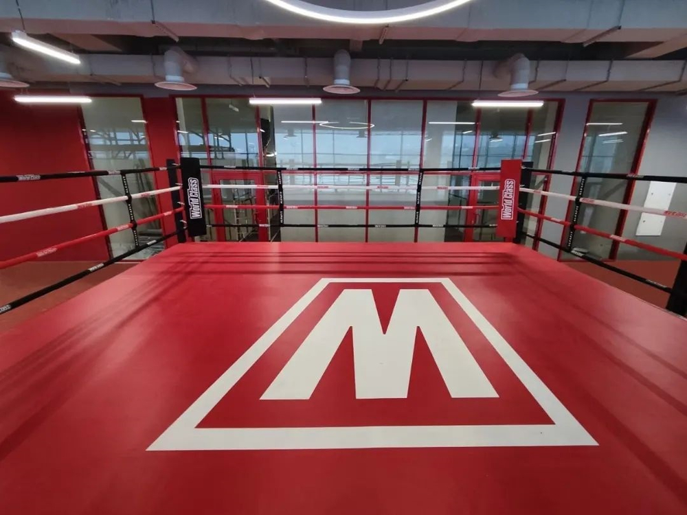 Ринг боксерский TARGEX на помосте высотой 1 м