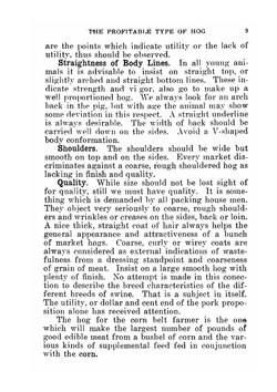 Profitable Pork Production: A Book For Farmers And Swine Growers | Kennedy Willard John