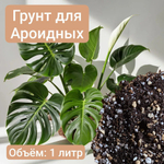 Грунт для Ароидных 1 литр