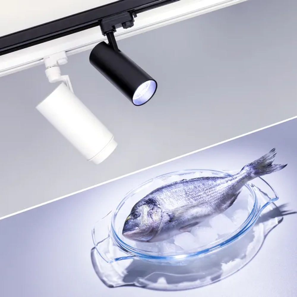 Светильник LGD-ZEUS-4TR-R88-20W Cool SP7500-Fish (BK, 20-60 deg, 230V) (Arlight, IP20 Металл, 3 года) 032448
