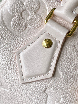 Louis Vuitton Speedy 20