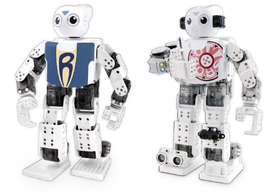 Краткий обзор DARwIn Mini