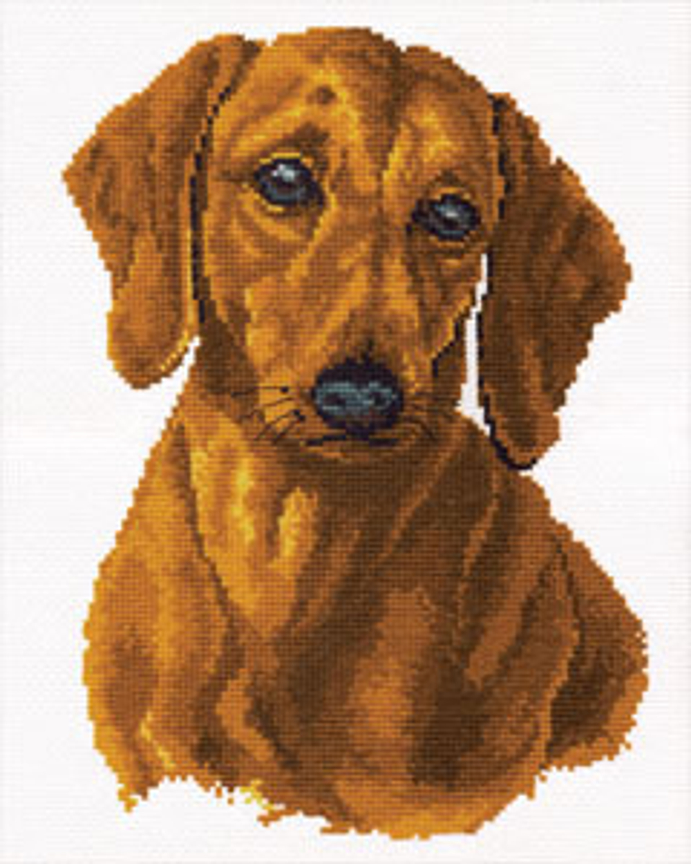 Такса¶Размер: 18х25 см ¶Кол-во цветов: 10