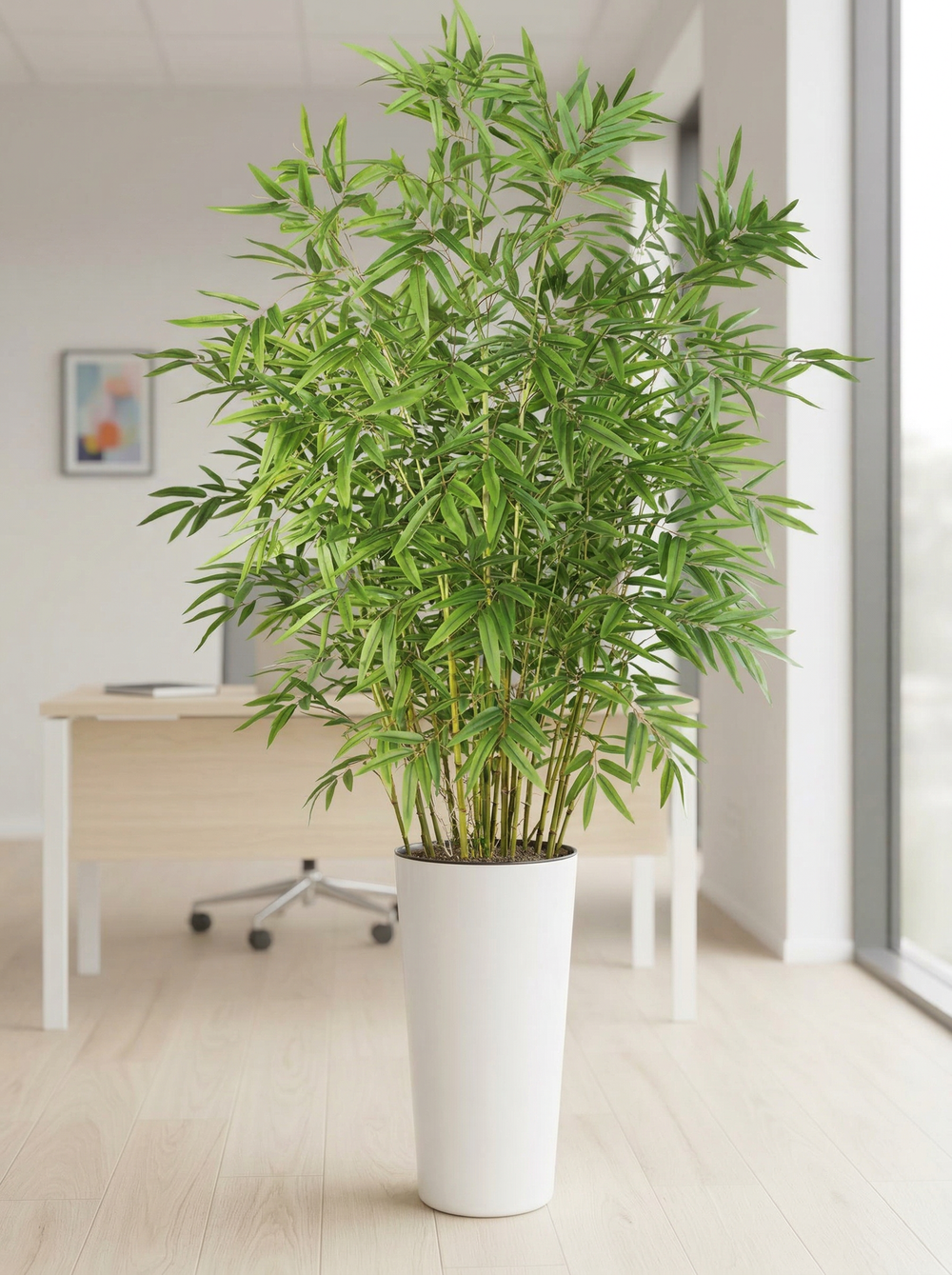 Бамбук Люкс в высоком белом глянцевом кашпо