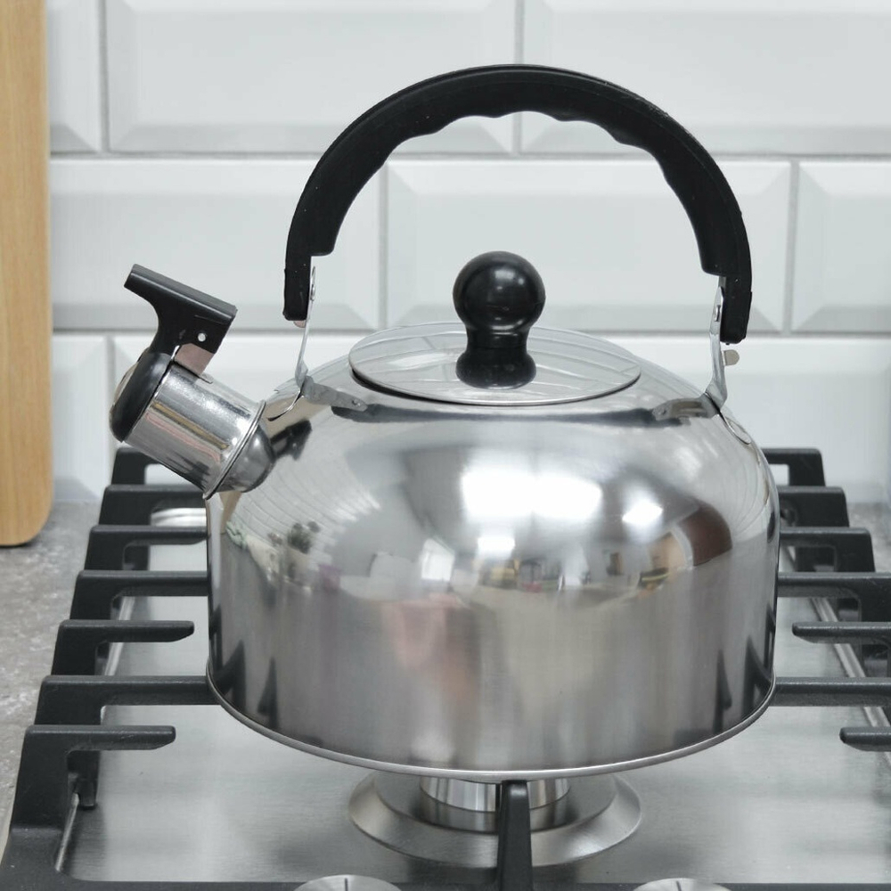 Чайник 2л нерж со свистком тм Bingo