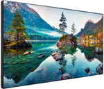 Панель LCD 55' Vestel WU55B-2H