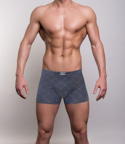 Мужские трусы-боксеры с узором в виде крупной сетки (Размер: L) (Цвет: синий)