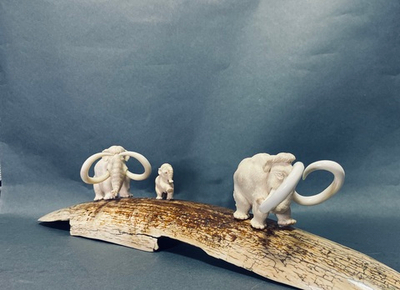 Плейстоценовая семья