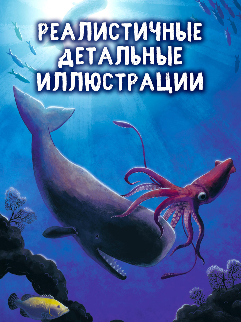 Удивительные животные. Маленький кит. Приключения в океане