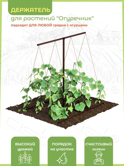 Держатель для растений "Огуречник"