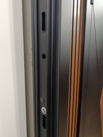 Стальная дверь "Plata"