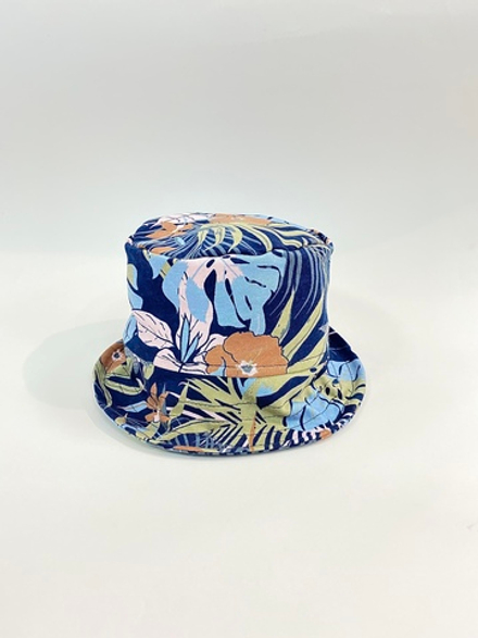 Панама Пальма