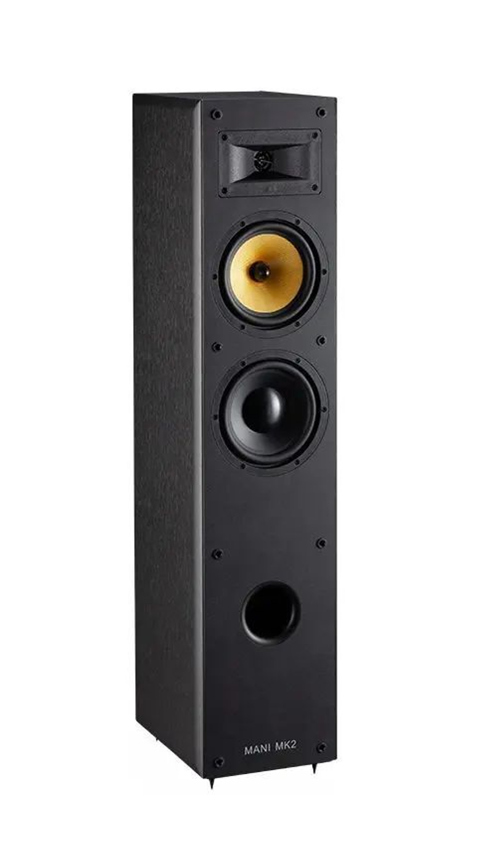 Напольная акустика Davis Acoustics Mani MK2