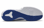 Кроссовки Nike Mamba Focus Tb Game Roya