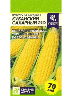 Семена раннеспелой кукурузы Кубанский сахарный 210